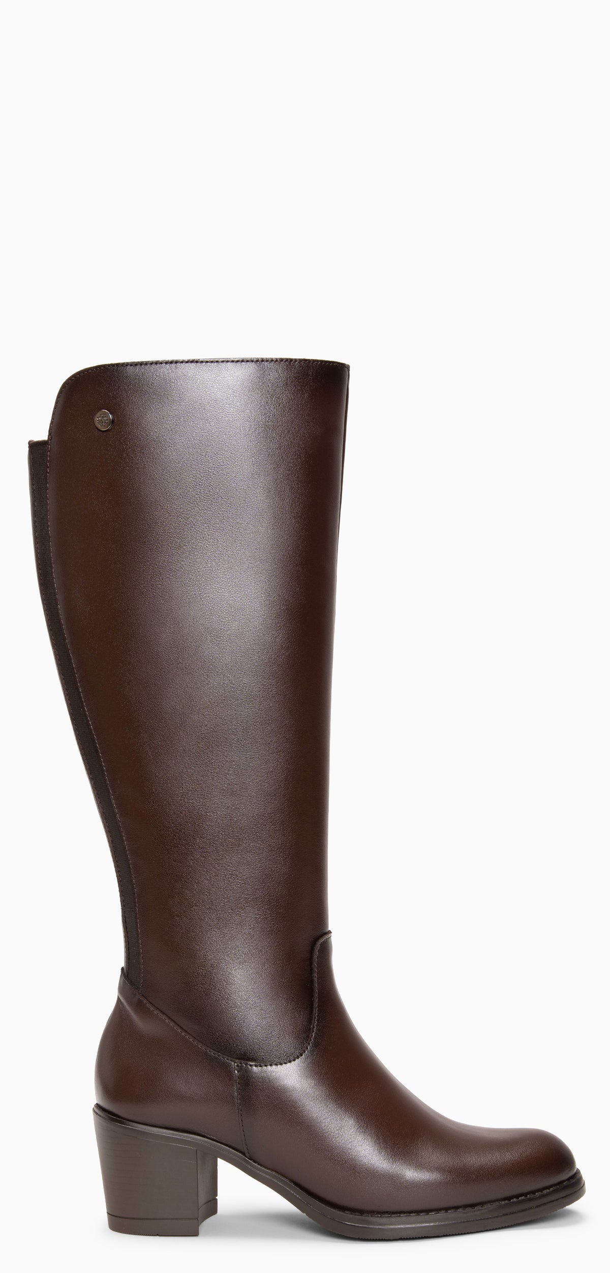 LISA - Botas altas con elástico MARRON