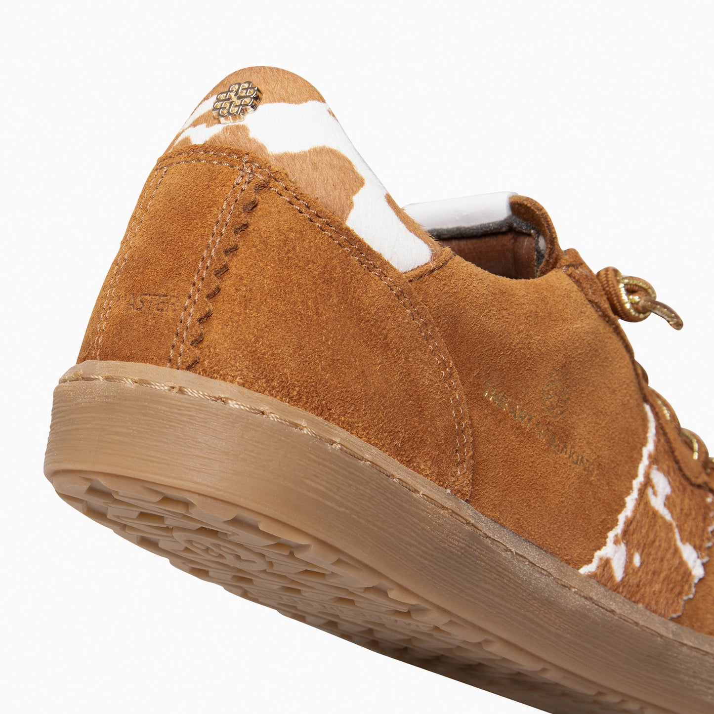 STÜDIO 01 - Deportivos CAMEL VACA